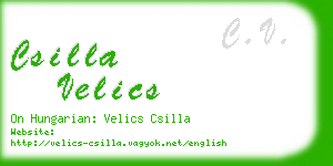 csilla velics business card